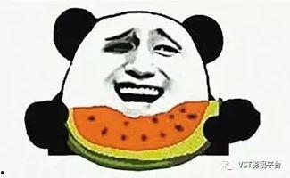 娱乐吃瓜君放大镜,揭秘娱乐圈幕后真相