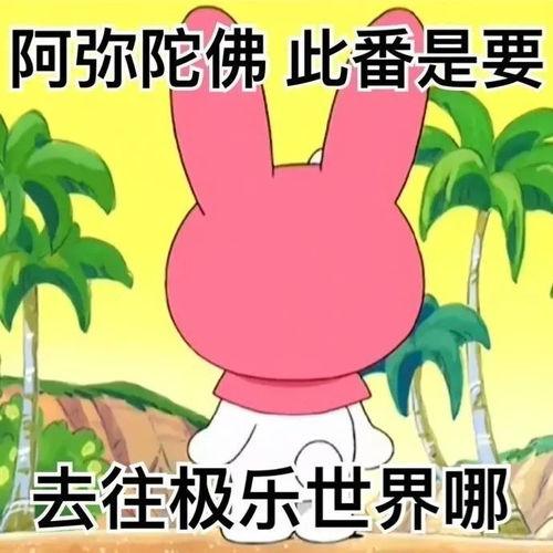 娱乐吃瓜酱阴阳怪气语录,阴阳怪气语录背后的真相