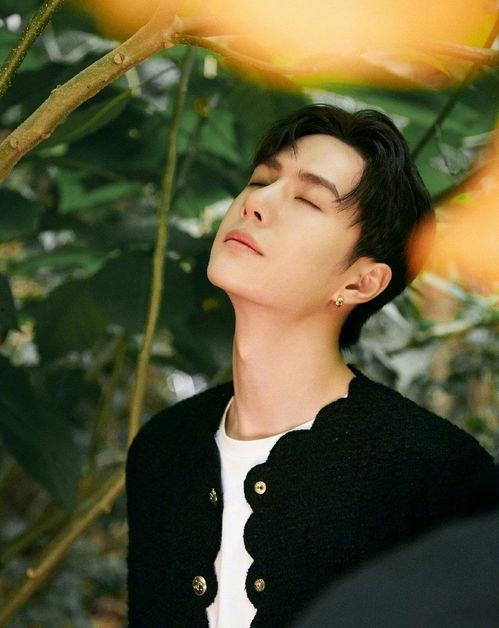 吃瓜星娱乐李易峰,吃瓜星娱乐中的璀璨明星