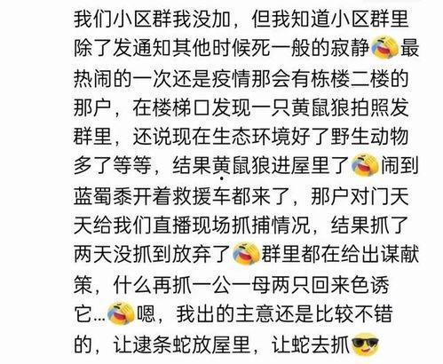 娱乐吃瓜群名叫什么名字,揭秘“娱乐吃瓜群”背后的热点事件与趣味瞬间