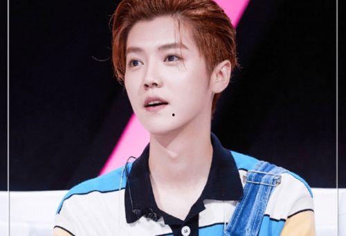 吃瓜娱乐圈鹿晗是谁,娱乐圈的瓜中明星