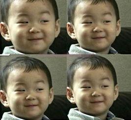 娱乐圈2016年吃瓜,瓜田李下，明星们的甜蜜与苦涩