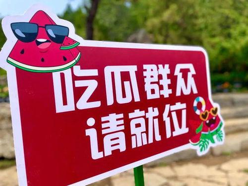 2024年娱乐吃瓜,吃瓜群众狂欢盛宴