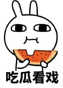 娱乐嗨吃瓜君,揭秘娱乐圈最新热点事件