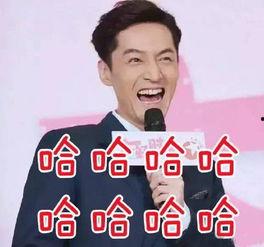 娱乐圈吃瓜的群,揭秘明星幕后故事，揭秘娱乐圈真相