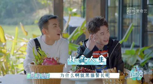 娱乐吃瓜酱拐卖,拐卖事件背后的惊人真相