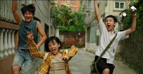 娱乐圈吃瓜壁纸